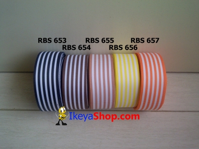 Pita RBS 653 657  large2